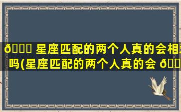 🐘 星座匹配的两个人真的会相爱吗(星座匹配的两个人真的会 🐡 相爱吗女生)
